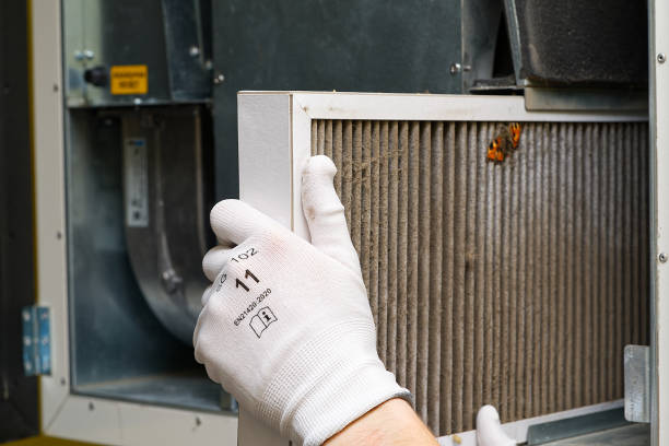 Best Air Duct Mold Removal  in Ukiah, CA