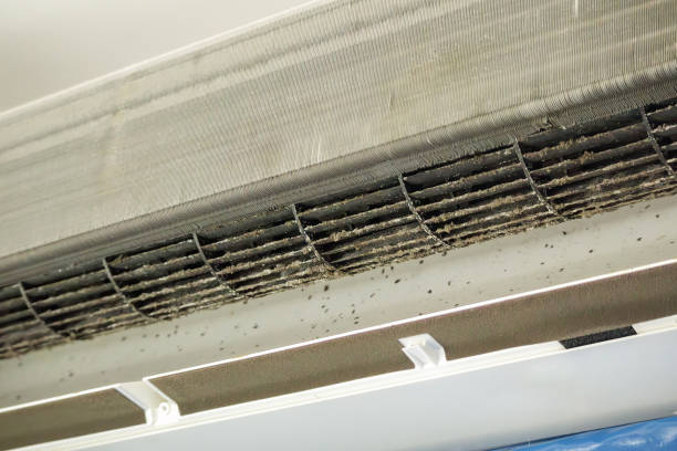 Best Local Air Duct Cleaning Services  in Ukiah, CA